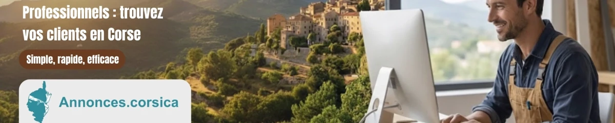 Exemple de bannière publicitaire pleine largeur 1200x240